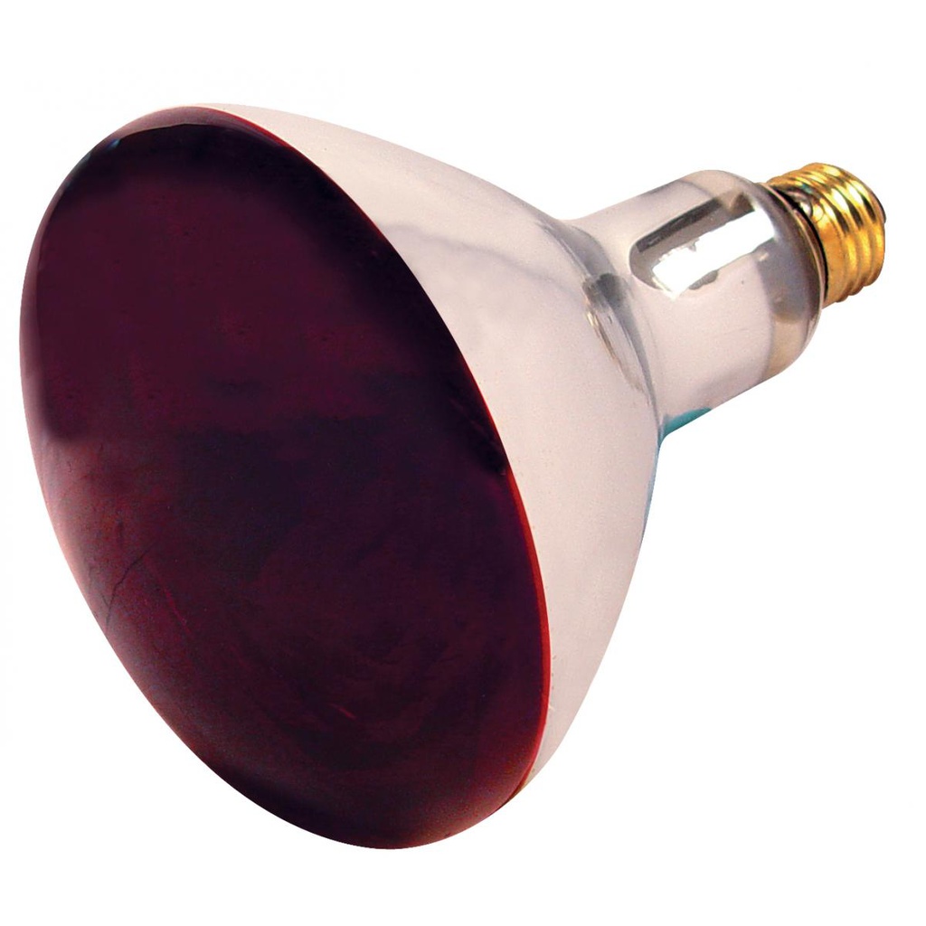 Incandescent infrared reflector 250R40/IR/Red E26 120V