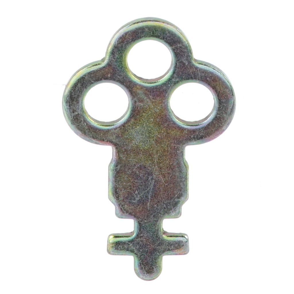 Instinct Key for R1500, T1800, T1900, T1950, T1905 dispensers